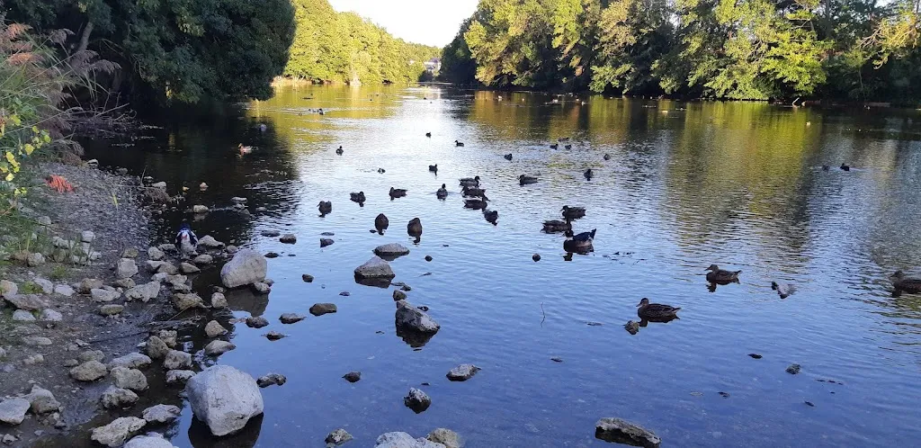 Mario Martins_Ô Table...Oh !_Saint-Pryvé-Saint-Mesmin_review