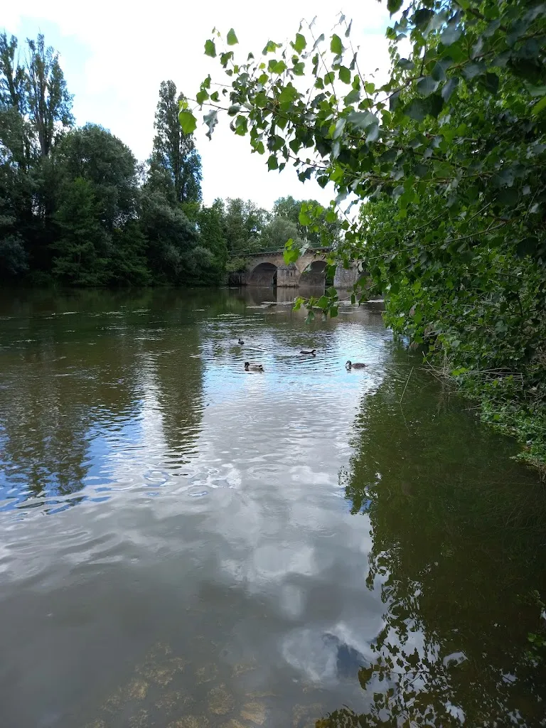Ô Table...Oh !_Saint-Pryvé-Saint-Mesmin_slider_image_3