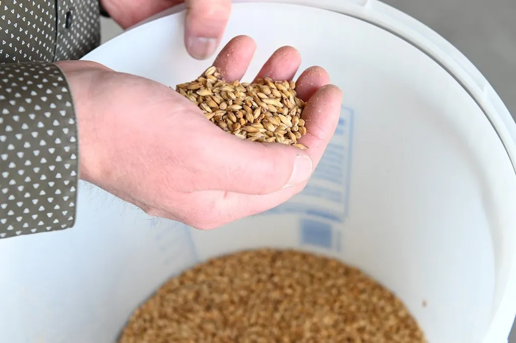 Menu_Brasserie La Riff – Brasserie artisanale à Saint-Pryvé-Saint-Mesmin_Saint-Pryvé-Saint-Mesmin_image_7