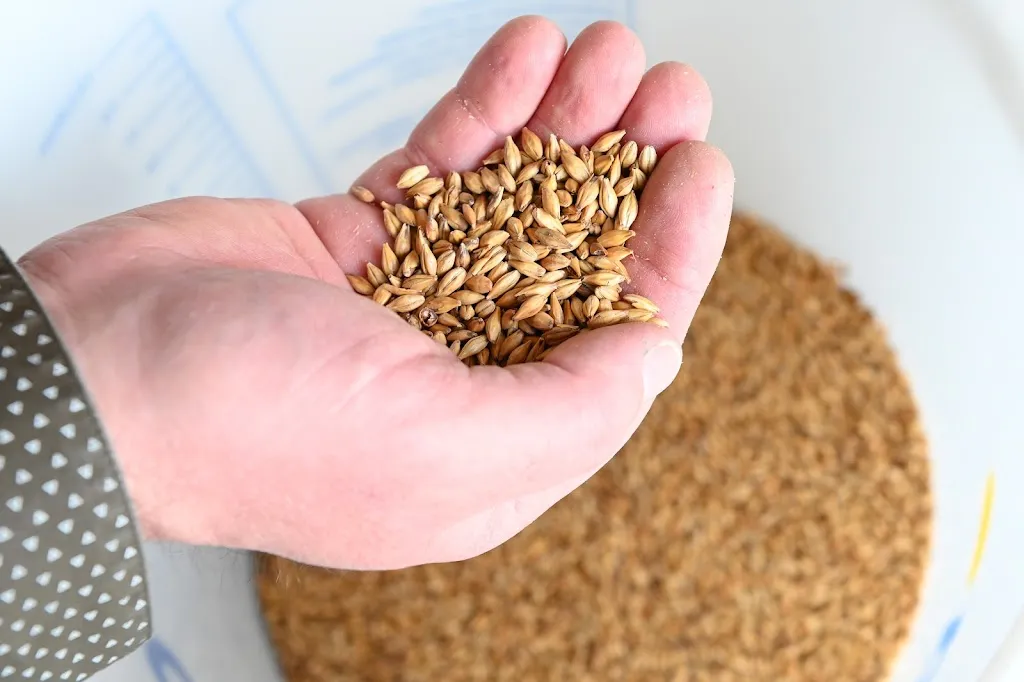 Brasserie La Riff – Brasserie artisanale à Saint-Pryvé-Saint-Mesmin_Saint-Pryvé-Saint-Mesmin_slider_image_3