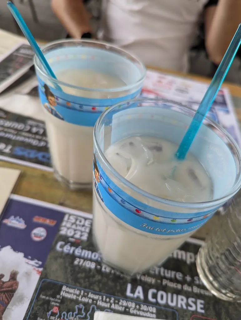 Daisy Chbr_Le Globe Restaurant Bar_Brioude_review