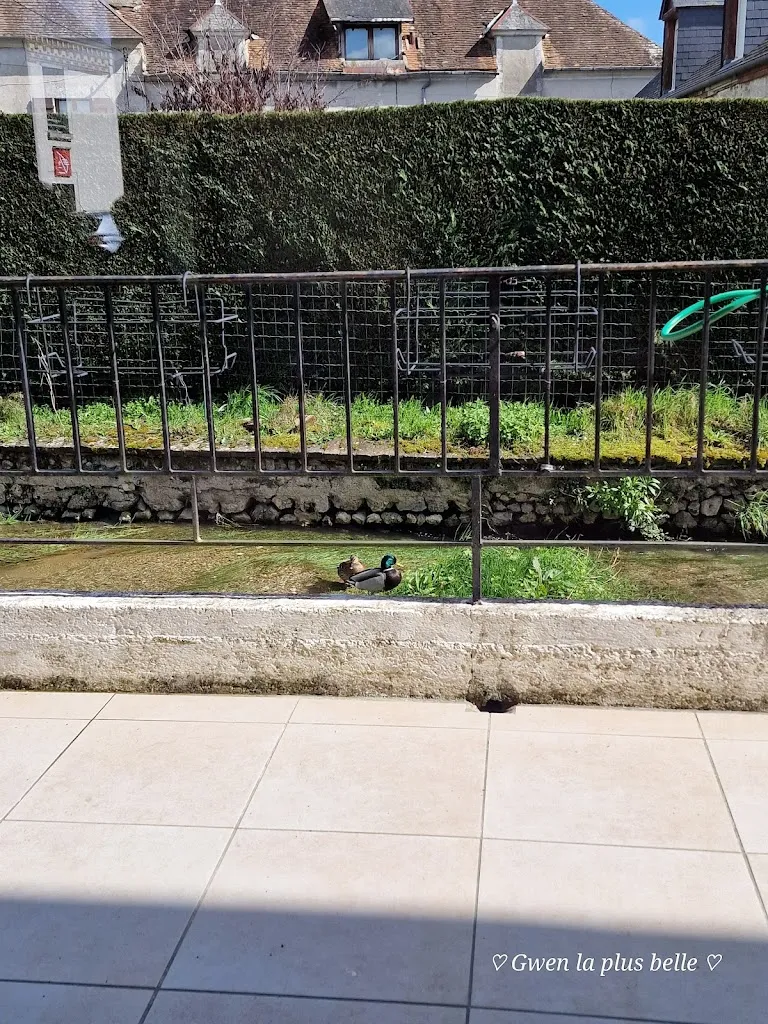 gwendoline B_La Fontaine Sancerroise_Saint-Satur_review