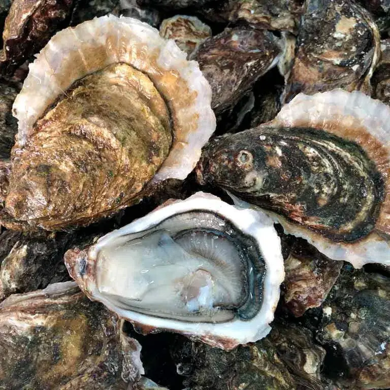 Menu_LATHAN DU_Savigné-sur-Lathan_image_7