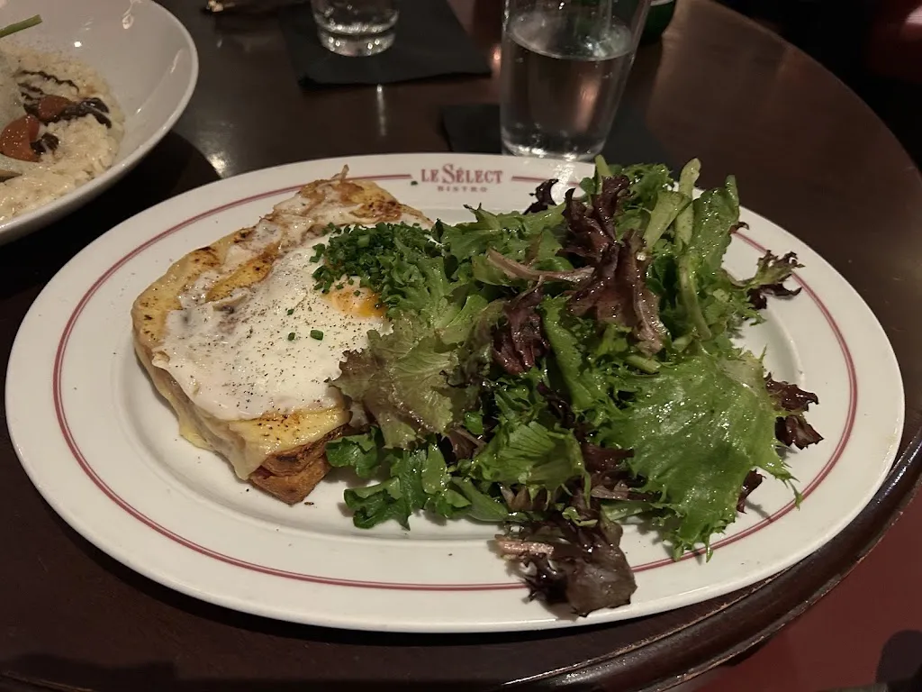 Shyla Tibando_La Société_Paris_review