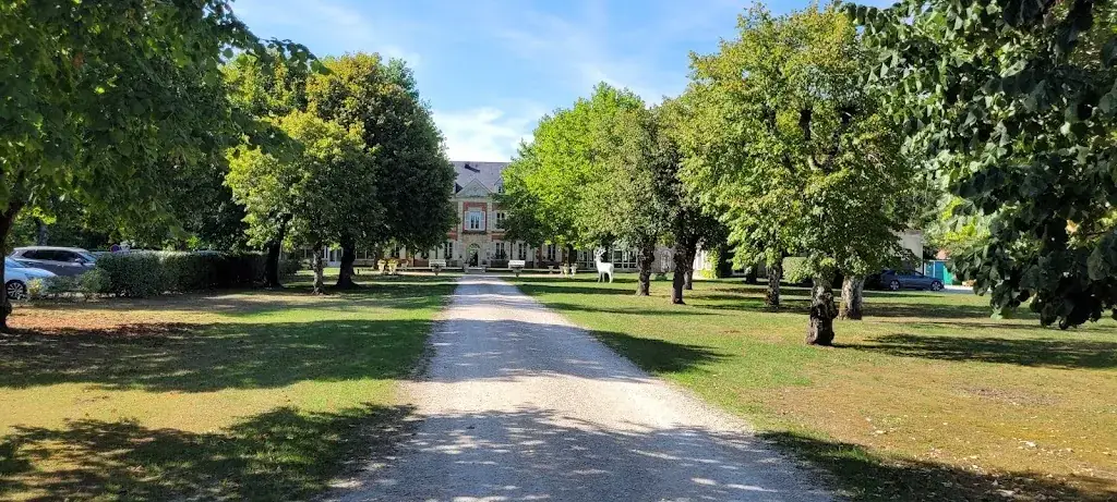 Jean-François Bogaerts_Restaurant du Domaine de Valaudran_Salbris_review