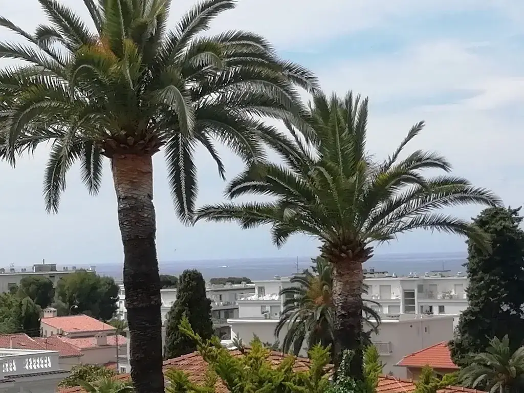 Frédéric Diot_Bar des Sports_Selles-Saint-Denis_review