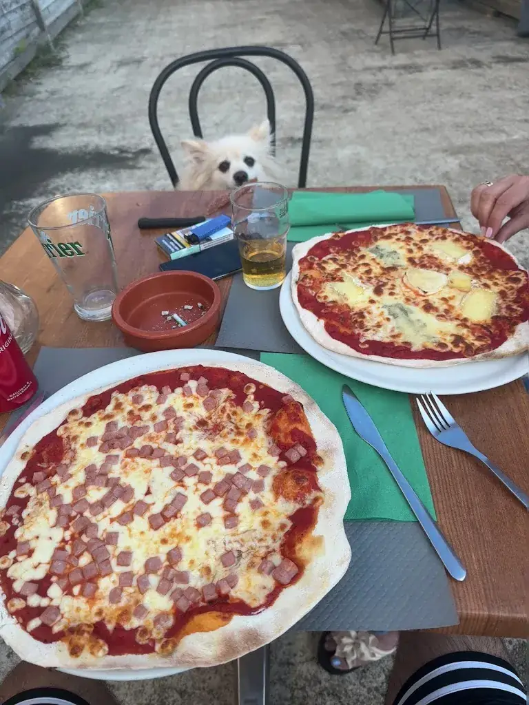 Alexander aoun_Crk Mazedo Frederic_Semblançay_review