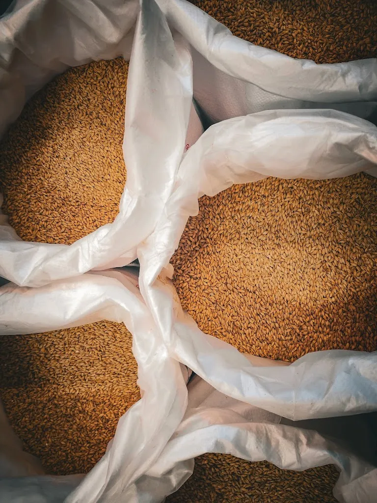 Brasserie Wonderland Restaurant in Sorel-Moussel