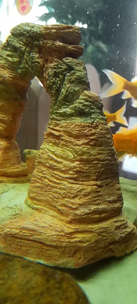 Restaurant Le Vietnam_Brioude_slider_image_2