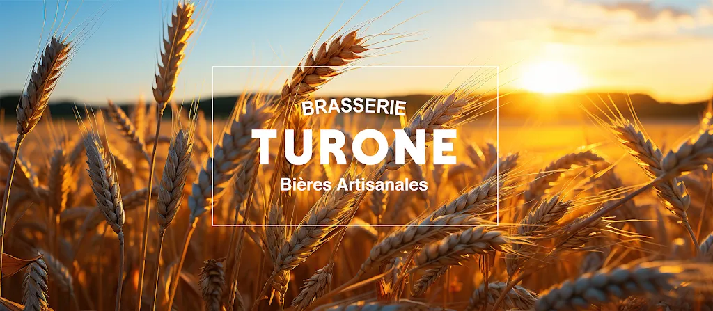 BRASSERIE TURONE restaurant in Tauxigny-Saint-Bauld