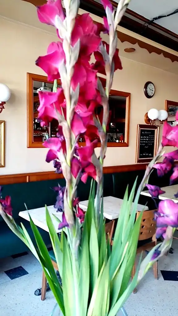 Bar Le Central_Senonches_slider_image_2