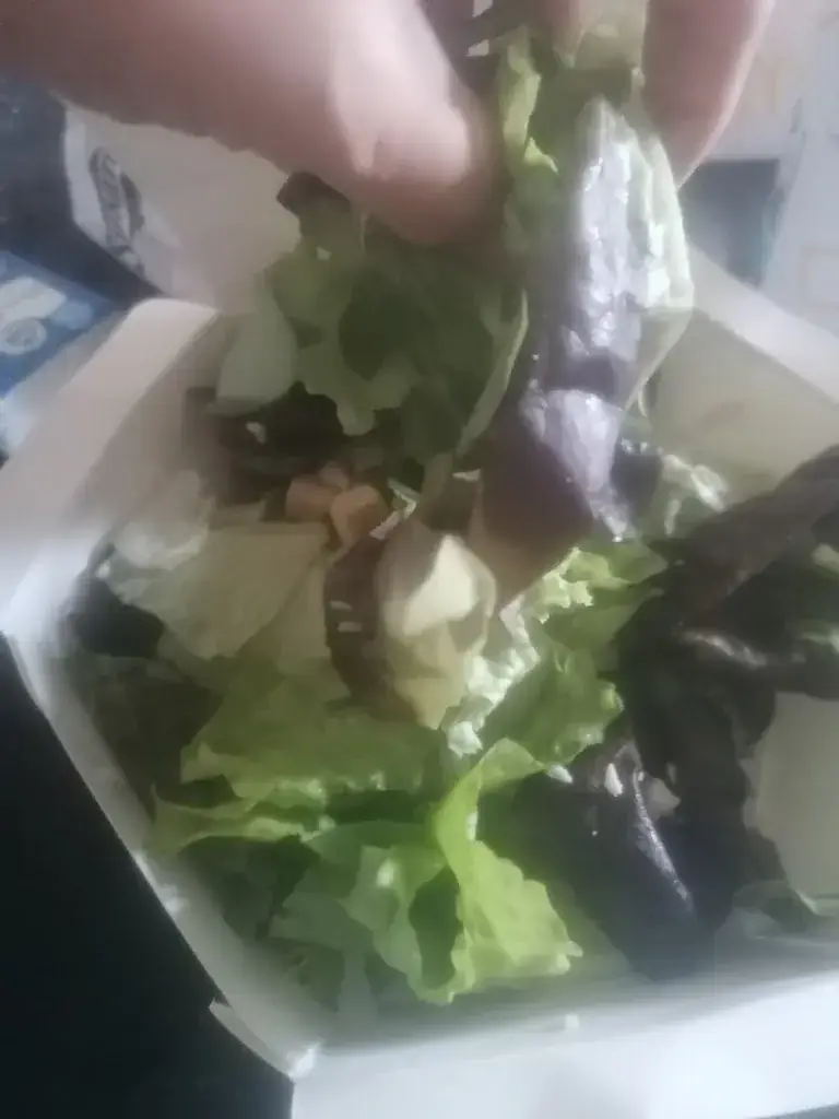 Menü_McDonald's_Brioude_Bild_8