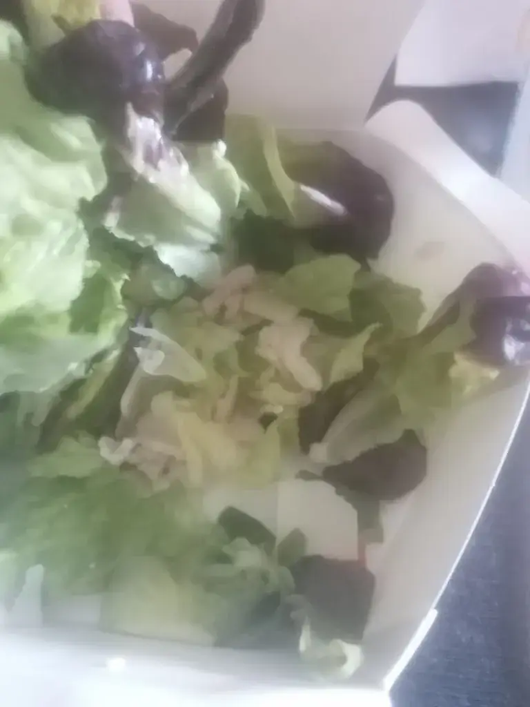 Menü_McDonald's_Brioude_Bild_9