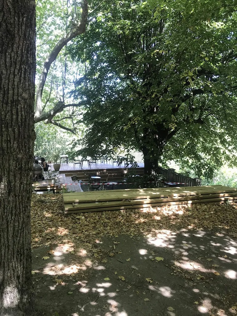 Julius Rieg_Restaurant Brioude_Meyras_review