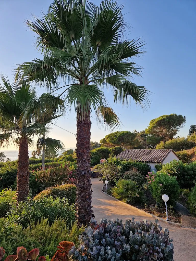 Mihaela Solomon_U San Bastianu_Appietto_review