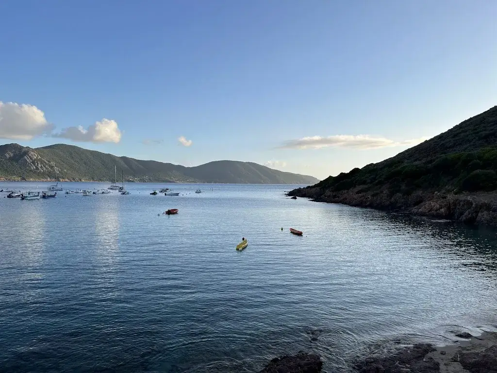 Can Berk Durmuş_Stella di lava_Appietto_review