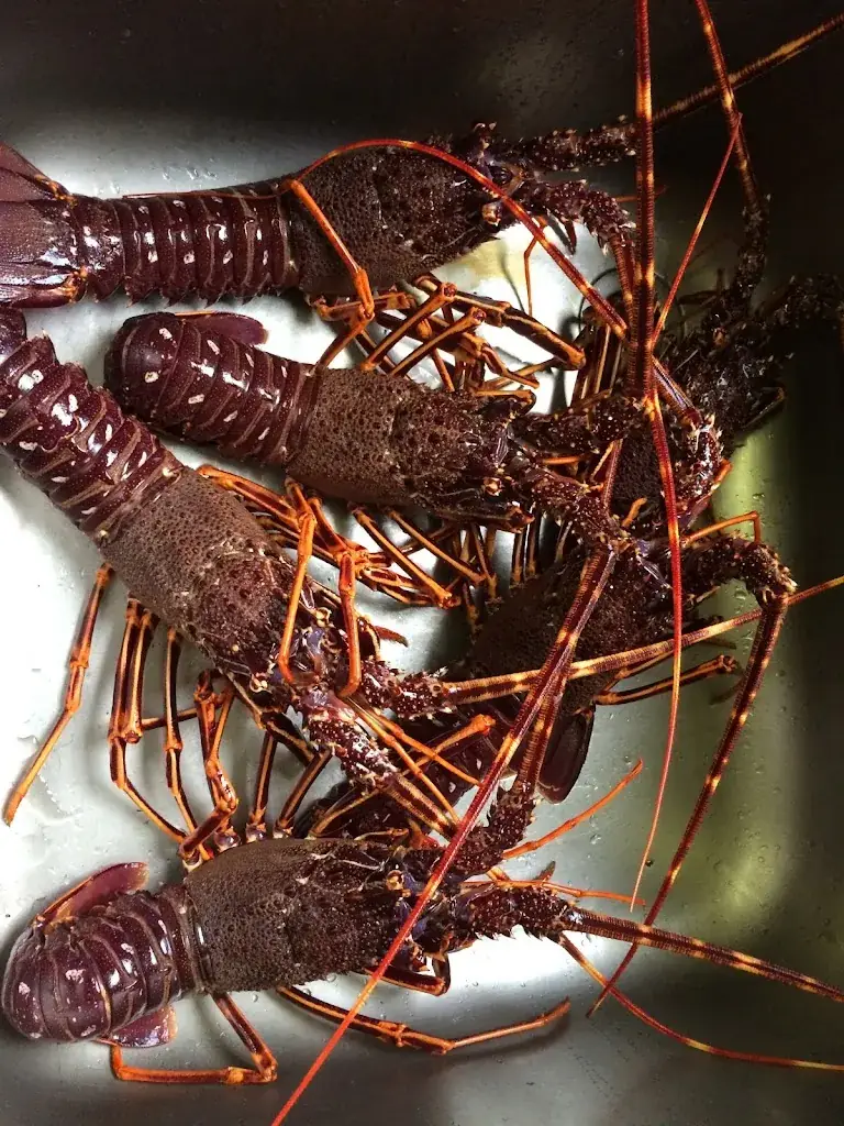 AUBERGE DU PECHEUR GOLFE DE LAVA_Appietto_slider_image_3