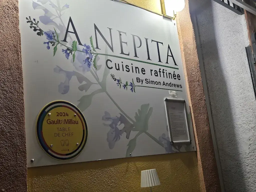 Steve Morgan_A NEPITA_Ajaccio_review