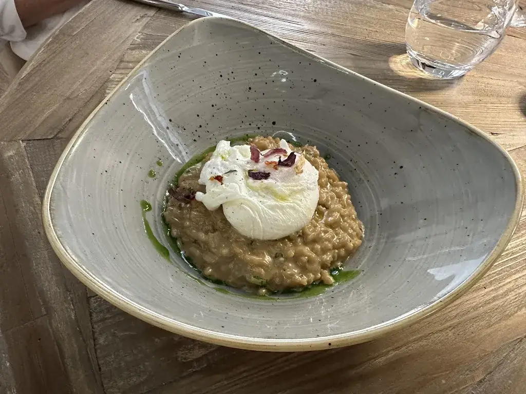 Rich Campbell_A NEPITA_Ajaccio_review