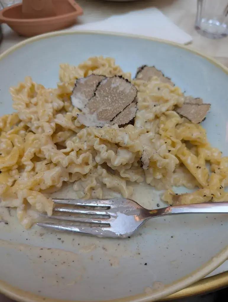 Tatiana Schmidt_Casarella_Bonifacio_review