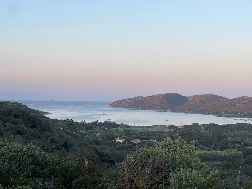 Curt Swogger_A Suliata_Bonifacio_review