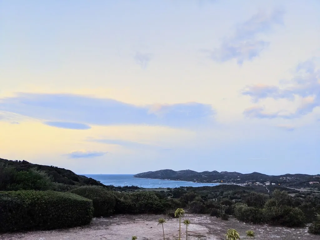 Eyal Moshe_A Suliata_Bonifacio_review