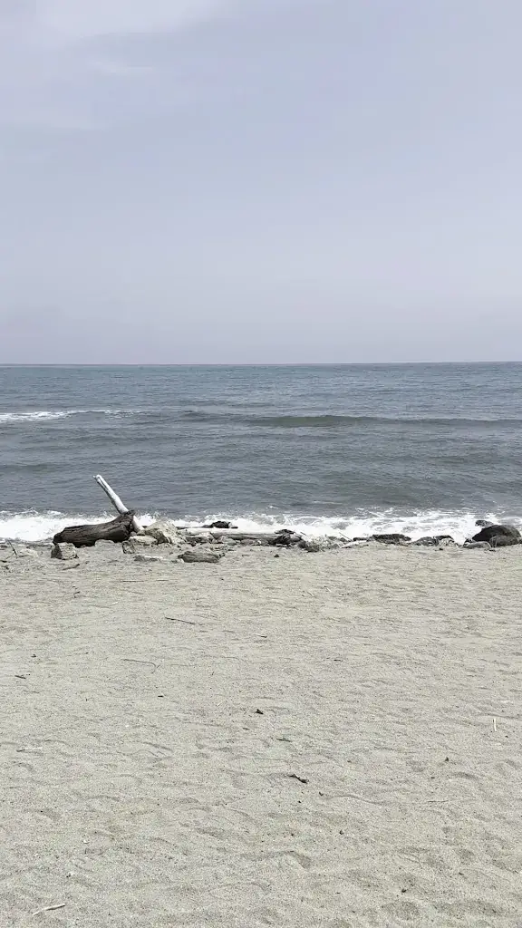 Julien Audrerie_Le Bounty_Aléria_review