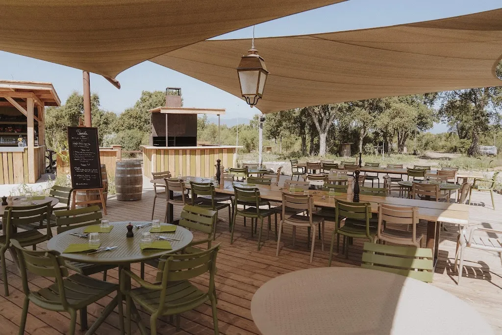 PUMATA_Aléria_slider_image_1