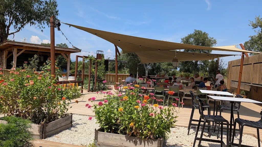 PUMATA_Aléria_slider_image_2