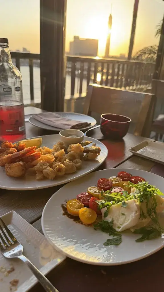 Laila Hisham_Pane Vino_Egypt_review