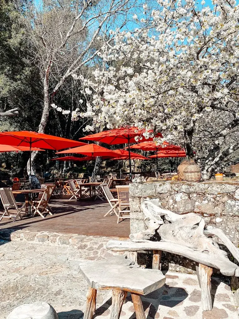 AUBERGE DE LA FORET_Calenzana_slider_image_1