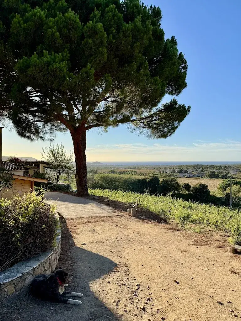 Ronny Landolt_Domaine Camellu_Calenzana_review