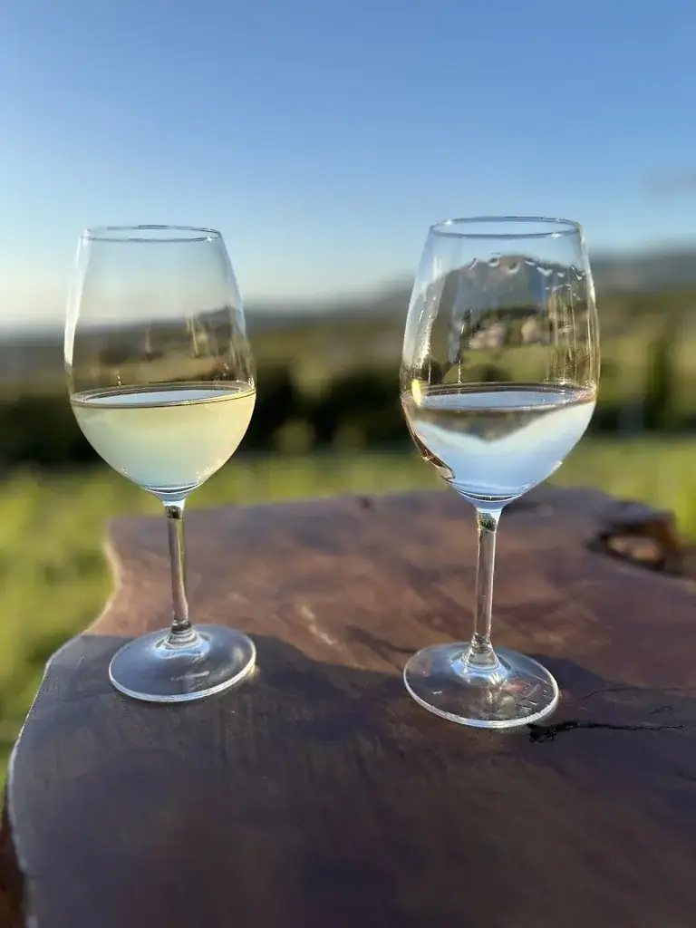 Jerome ANCEL_Domaine Camellu_Calenzana_review