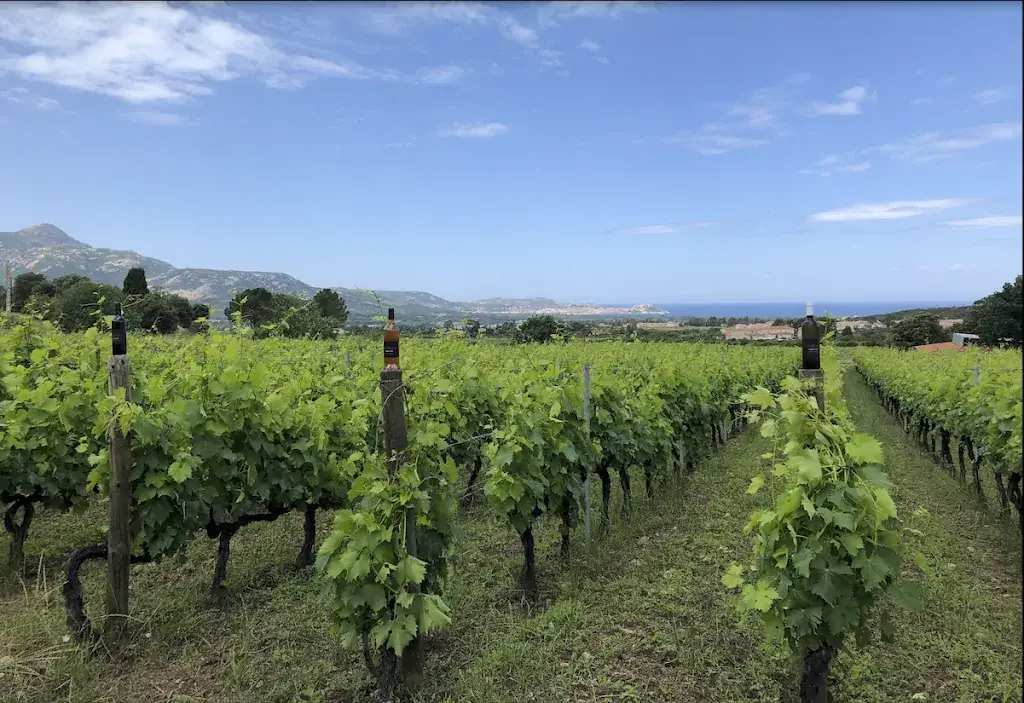 Domaine Camellu_Calenzana_slider_image_3