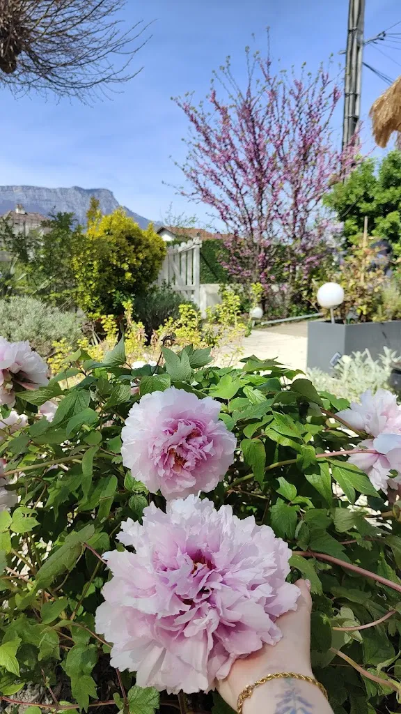 Angry Pastèque_Melting Pot_Champ-sur-Drac_review