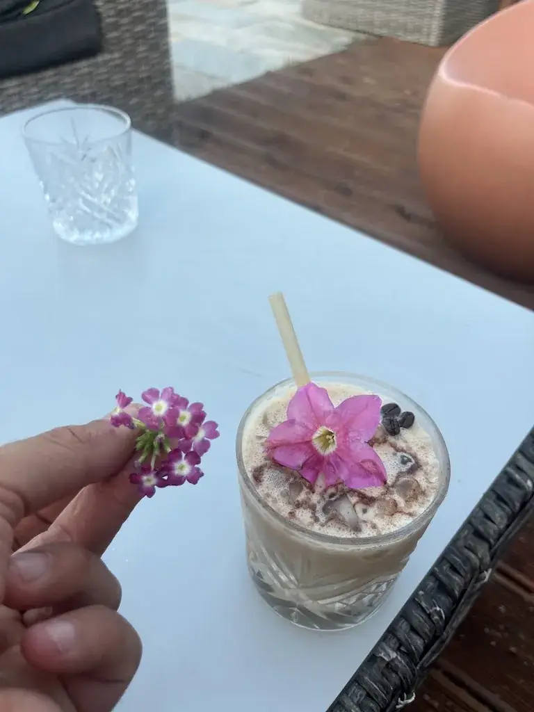 Lee Webster_Restaurant Glacier Le Flibustier_Santa-Maria-Poggio_review