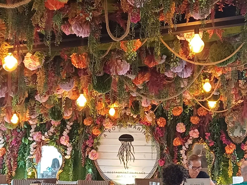 Steven Mummery_A Pota Marina_San-Nicolao_review