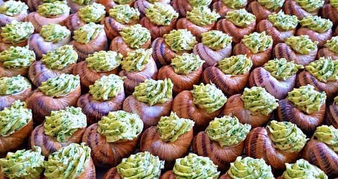 FOODTRUCK CORSICA_Cervione_slider_image_3