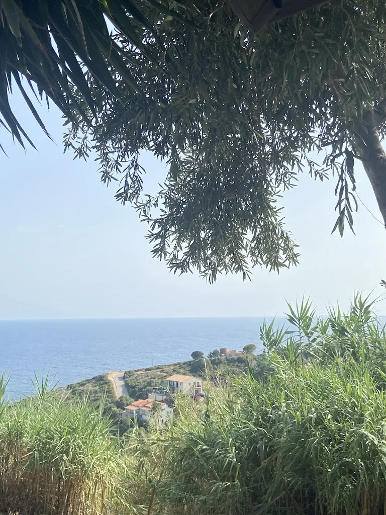 Lina “Lina” Krause_Café Le Yuka_Cargèse_review