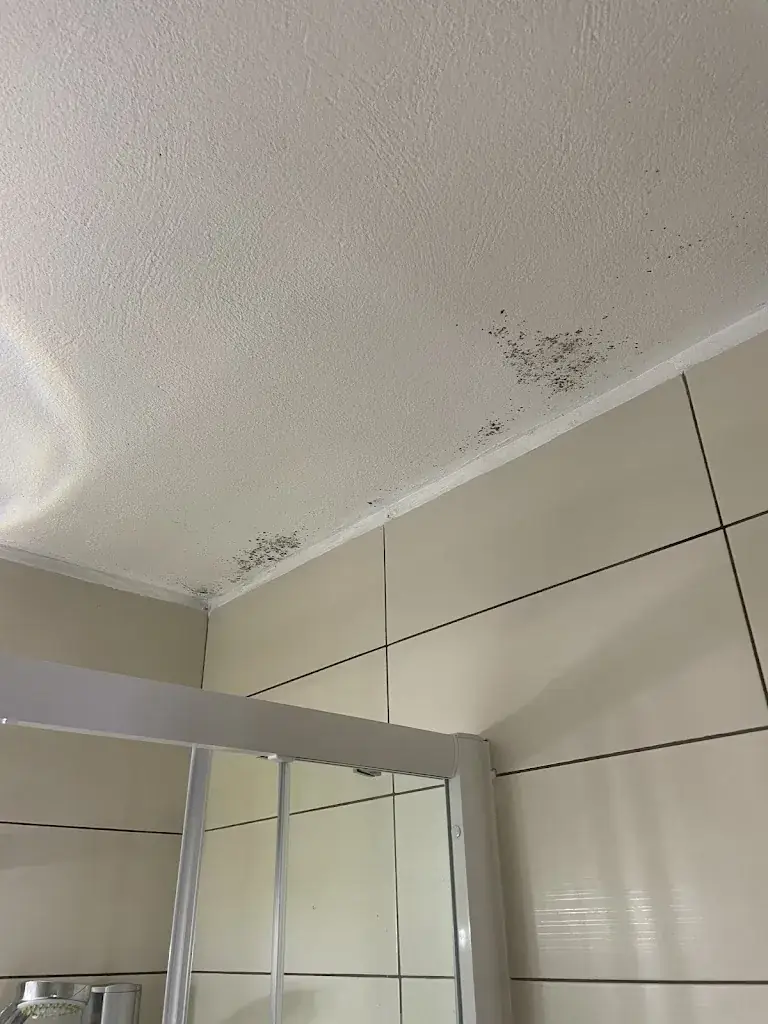 M J_Hôtel - Le Saint Jean_Cargèse_recensione