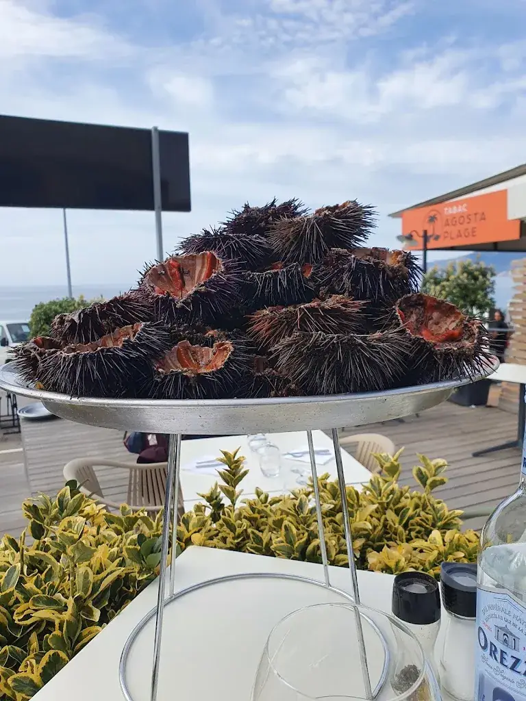 Menu_Rive Sud_Albitreccia_imagen_8