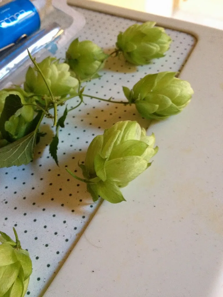 Menu_Artisanal Brewery of the Full Moon_Chabeuil_image_6