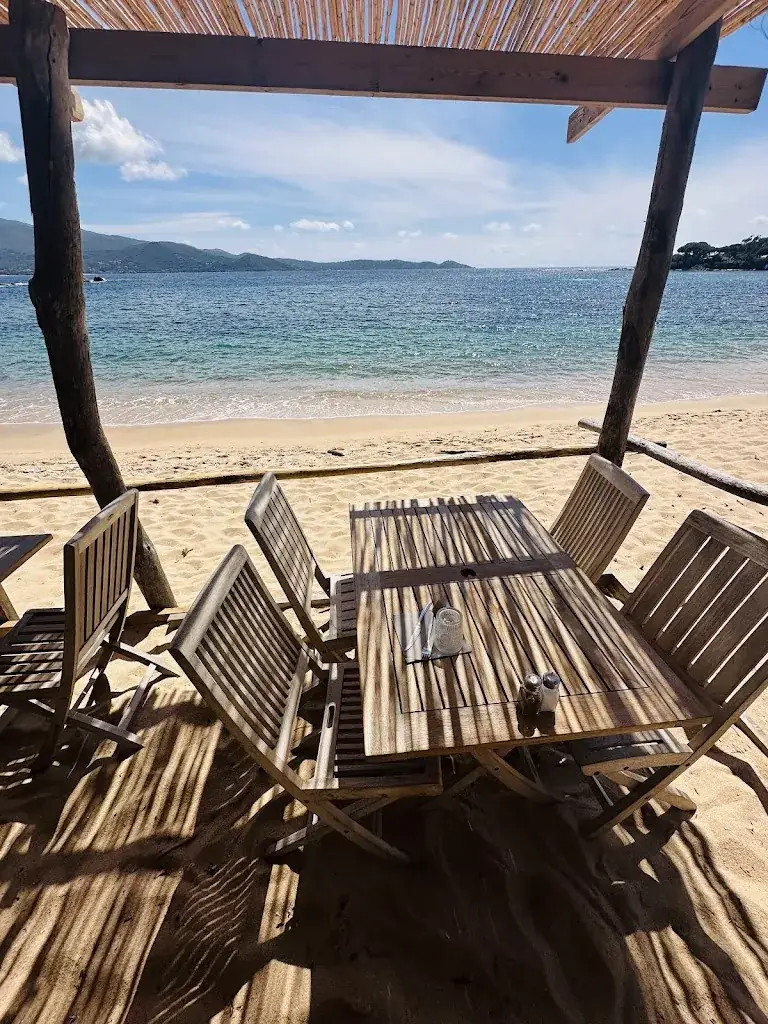 Peter Roth_Paillote Casa Médea_Pietrosella_review