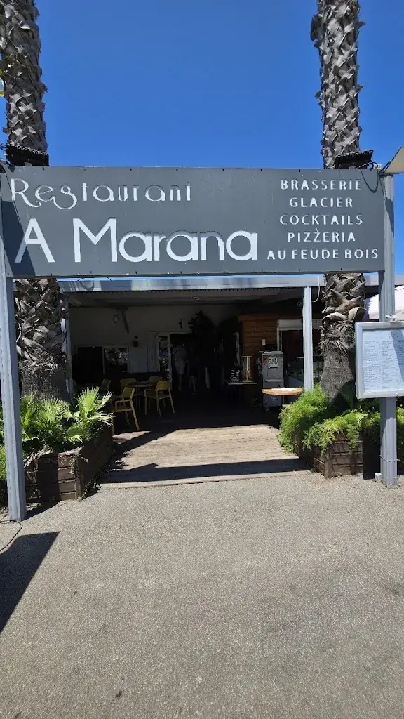 Andreas LSChr_A MARANA_Grosseto-Prugna_avis