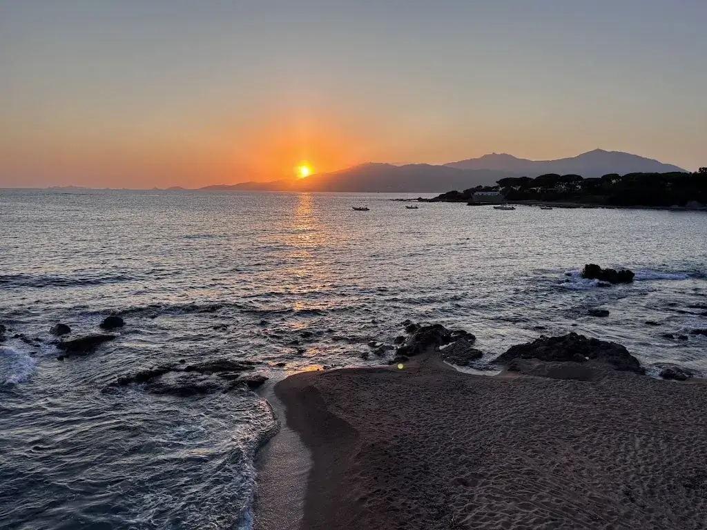 Stéphane Laroche_L'Arbousier_Grosseto-Prugna_review