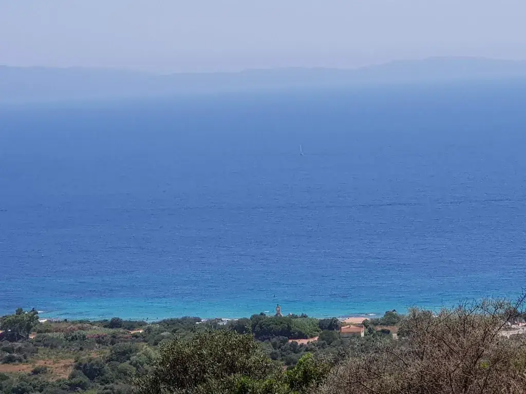 Buzdrinks Video_La Plage Blanche_Grosseto-Prugna_review