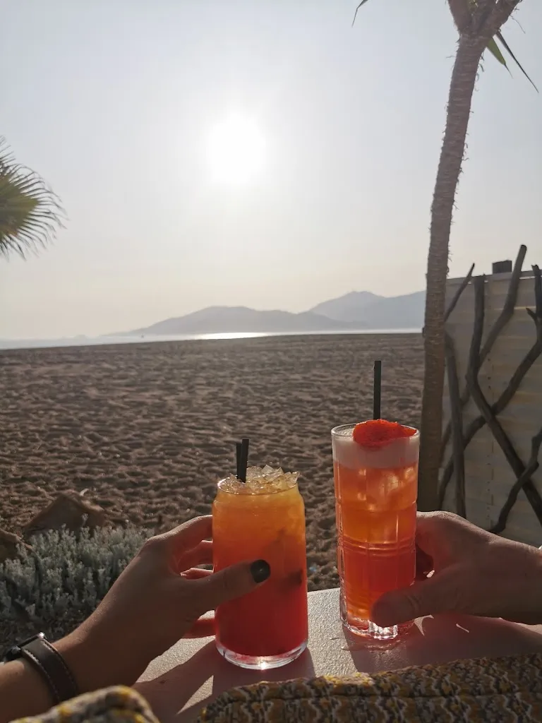 Joyce Fliegel_L’Alta Rocca_Grosseto-Prugna_recensione