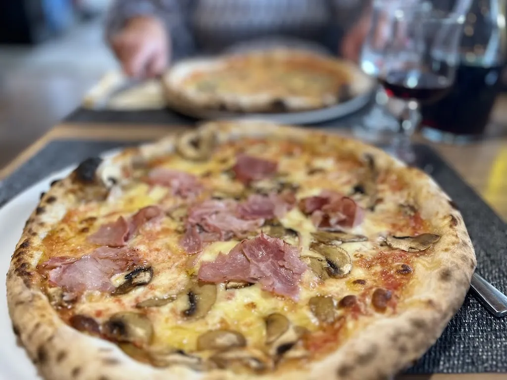 Fardad_A Baracca_Cognocoli-Monticchi_review