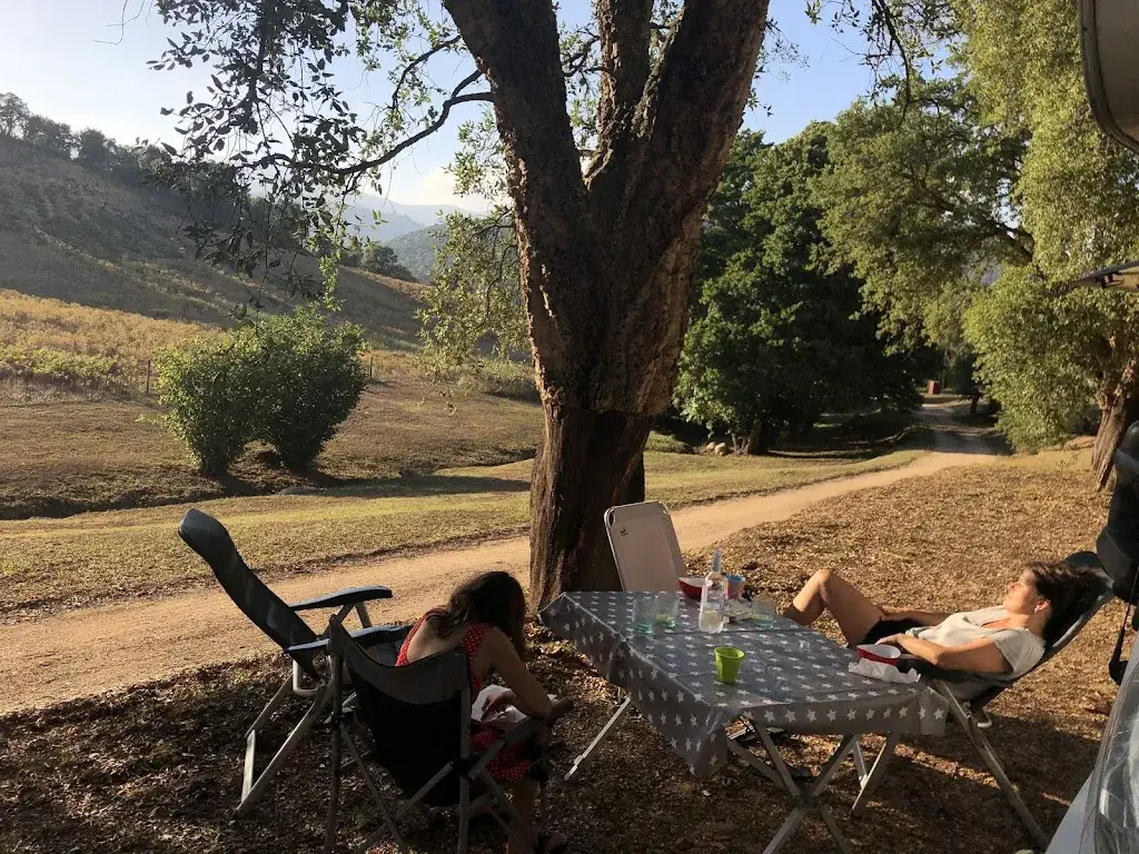 Katja Prott_Restaurant Le Frère_Casalabriva_review