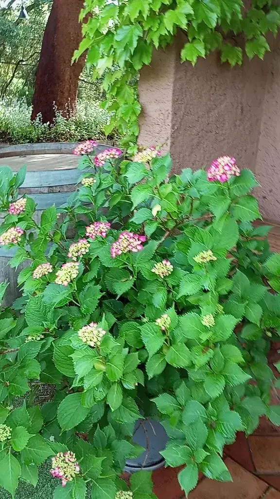 Restaurant Le Frère_Casalabriva_slider_image_2